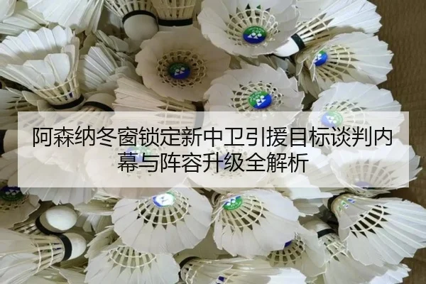 阿森纳冬窗锁定新中卫引援目标谈判内幕与阵容升级全解析